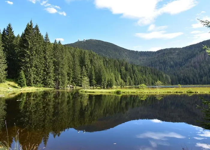 Lägenhet Bei Wolf Und Eule Lohberg